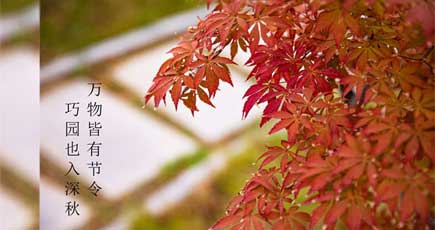 巧園秋色深深處 紅木(mù)濃濃情